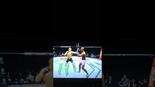 Rodriguez get knocked out UFC south Korea