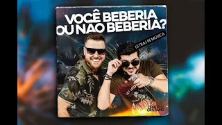 Zé neto e Cristiano - VOCÊ BEBERIA OU NÃO BEBERIA? ( Com Letra)