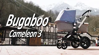 Bugaboo Cameleon 3 - Обзор детской коляски от Boan Baby