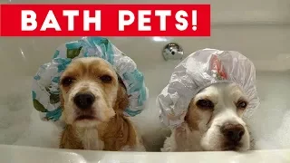 Funniest Pets Taking Baths Home Videos of 2017  Compilation | Funny Pet Videos