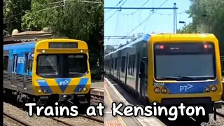 Trains at Kensington ft. Showground services