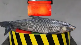 Creative Cutting Fish -Automatic Fish Killing | #fish #clean Fish