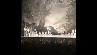 Giselle in Vienna Kimin Kim (김기민)