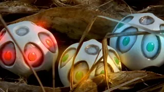 Power Rangers DinoThunder - Wave Goodbye - Find 3 Eggs