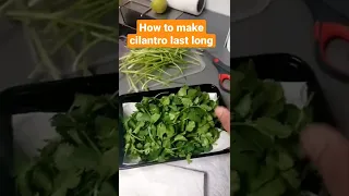 How to store cilantro to make it last longer. One way of doing it. #shorts #foodwaste #cilantro