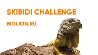 Skibidi challenge от Biglion