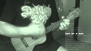 【Nirvana】Incesticide medley on ukulele