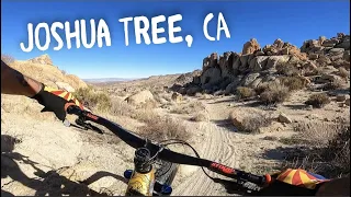 One of the Most Unique Rides in the California Desert // Joshua Tree Mountain Biking