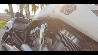 Harley Davidson V-Rod Muscle 2013 - Cinematic video