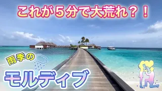 ハネムーンは絶対モルディブ！？ジューンブライドはご注意を？！【Day7,8】／4年越しの新婚旅行／Wモルディブ／初めてのシュノーケリング