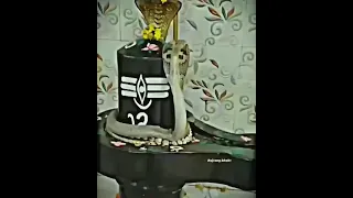 Wait For End 😱🚩#mahadev #shiva #viral #harharmahadev #shorts #hindu #shortvideo