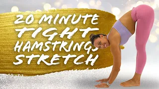 20 Minute Tight Hamstrings Stretch!
