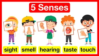 5 Senses Easy Learning Video | Sight 👁️ , Smell 👃, Hearing👂, Taste 👄, Touch ✋