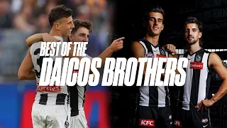 Josh and Nick Daicos' best highlights so far..