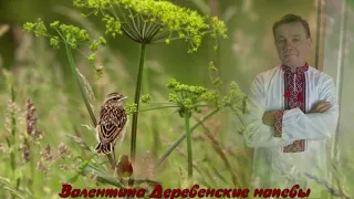 Авторская песня  "Загадай желание" Юрий Старцев