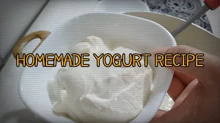 How To  Make Yogurt At Home | Easy Yogurt Recipe