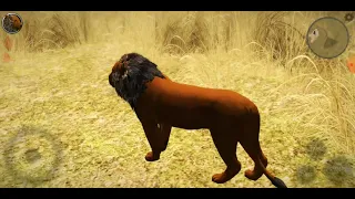 Смерть муфасы моя версия Ultimate lion simulator 2