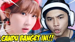 LAGU INI BIKIN KECANDUAN!!! -  Weeekly - After School [MV] Reaction - Indonesia