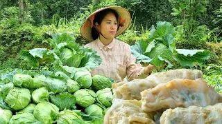 Harvesting Cabbage garden go to Market sell - Cabbage rolls filled with Meat | HuongTran Daily Life