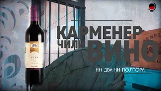 Вино Санта Лус, "Альба". Карменер. Чили. Красное и белое. Какое #вино купить в магазине? Дешёвки.