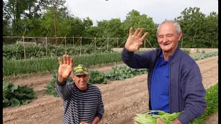 El huerto de casa con Don Vicente de Llíria, Secretos curiosos.