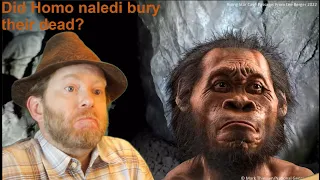 Homo Naledi Burial? A Public Peer Review of the Evidence