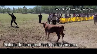 Pialada Completa 1° Fiesta de la Comarca Fortin 3