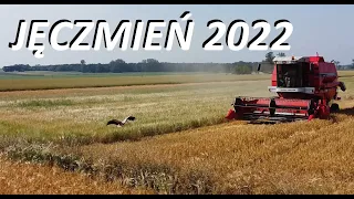 🔥Żniwa Jęczmienia 2022! | Massey Ferguson | [Łódzkie]🔥