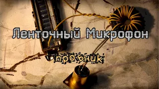 Ленточный микрофон (пробник)