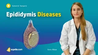 Epididymis Diseases | Surgery Video Lecture | Medical Online Education | V-Learning™