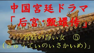 【中国宮廷ドラマ★后宫・甄嬛传★】⑤「宮廷の諍い女(きゅうていのいさかいめ)」☆☆☆皇上の寵愛を巡り、女の嫉妬と陰険な陰謀が渦巻いている。知識があり頭がよく回らなければ、後宮では生き残れません・・