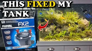 FLUVAL FX2 Aquarium Canister Filter IS IT GOOD? | 0-3 Months of Having a @fluval FX2 on my Aquarium