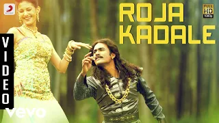 Anegan - Roja Kadale Video | Dhanush | Harris Jayaraj