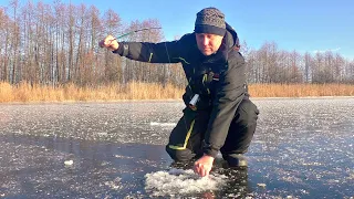 Балансир в глотке, поклевка как током вырывает удочку из рук. Лесное озеро раздает поклевки щук.