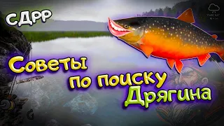 Советы и мнение. Как ловится Голец Дрягина  / Со дна Русской рыбалки. ( Русская рыбалка 4 )