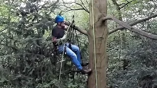 Single Rope Tree Climbing Techniques  SRT