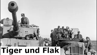 Flak Zug - schwere Panzer Abteilung 508 - Italien / Flak Vierling