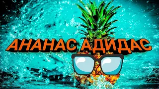 Миа Бойка - Ананас Адидас (лучший трек 2019 года ).