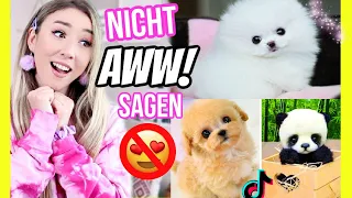 24 STUNDEN kein AWW sagen (bei diesem süßesten Video verlierst DU bestimmt die Challenge)