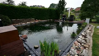 Modern Koi Blog #3928 - Rebeccas und Marcos 34.000 Liter Teich mit verschiedenen Tiefenebenen