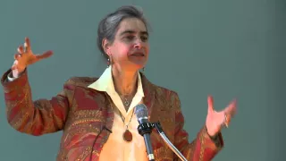 Sarah Chayes - Thieves of State: Why Corruption Threatens Global Security