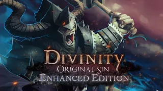 Divinity: Original Sin (Enhanced Edition) Две амазонки на пару #1