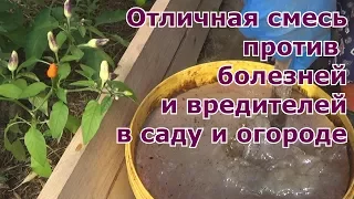 Отличная смесь против вредителей и болезней сада и огорода