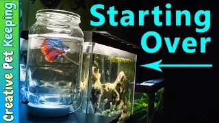 How to clean a 5 gallon BETTA FISH tank | #BettaFishCare