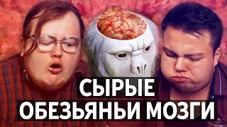 СЫРЫЕ ОБЕЗЬЯНЬИ МОЗГИ