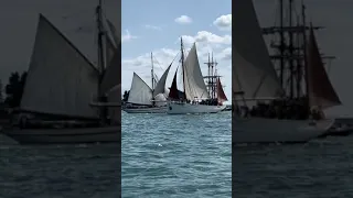 Petite parade de la Semaine du Golfe