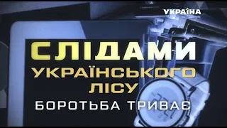 По следам украинского леса. борьба продолжается! Специальный репортаж