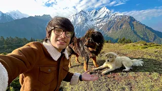 My 2 New Friends 😍 At Himalayas