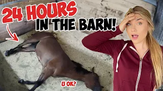 24 HOURS in My HORSE BARN Challenge *Video Surveillance*