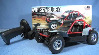 1/16 SG-1612 WHISKY BUGGY 4WD ラジコン バギー